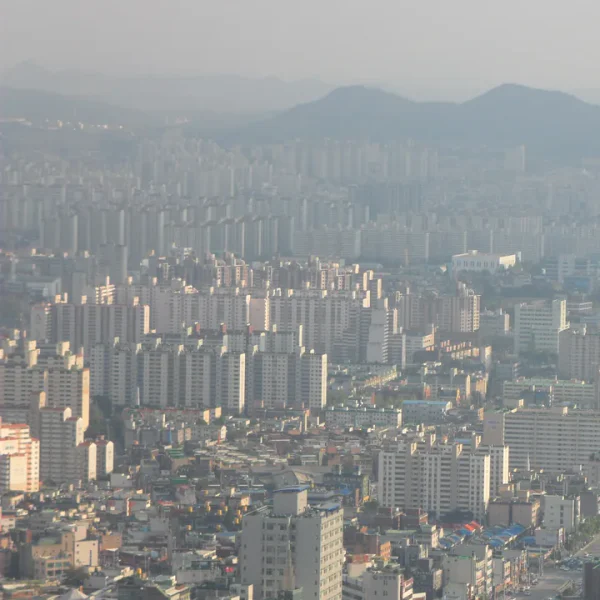 블랑 베르디가든 테라피 안내 이미지