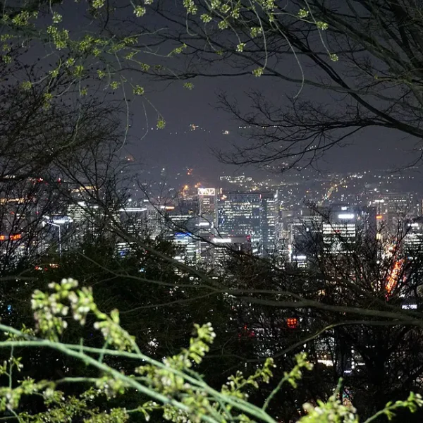 모던 나연가든 테라피 안내 이미지